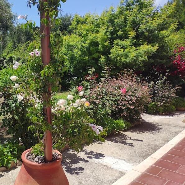 La Casa Di Giada, Appartamento In Villetta Con Aria Condizionata, Wi-Fi E Parcheggio Gratuito Poggi Екстер'єр фото